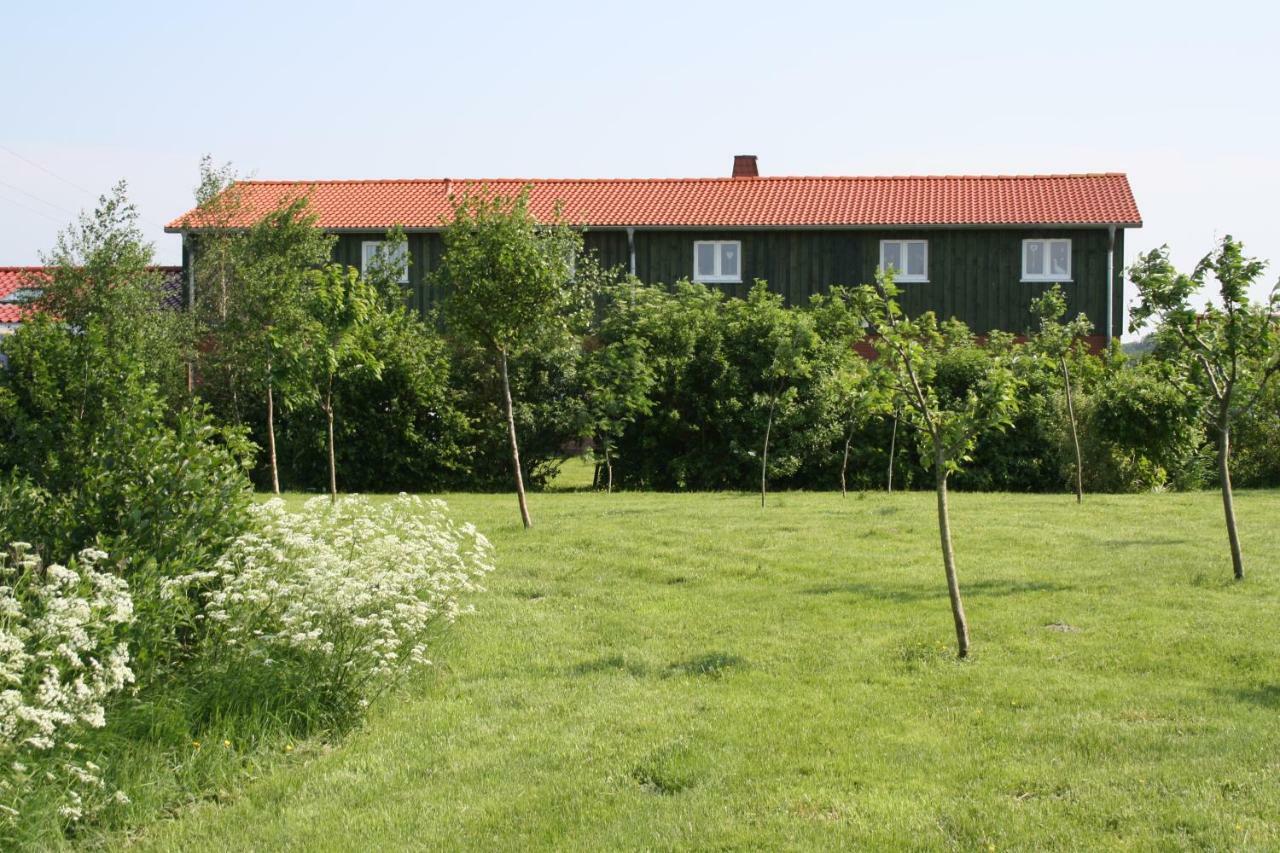 " Haus Zwischen Den Meeren " Strubbel Zewnętrze zdjęcie